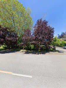 I.G. Landscaping and Gardening Services, photograph 3 of Steveston