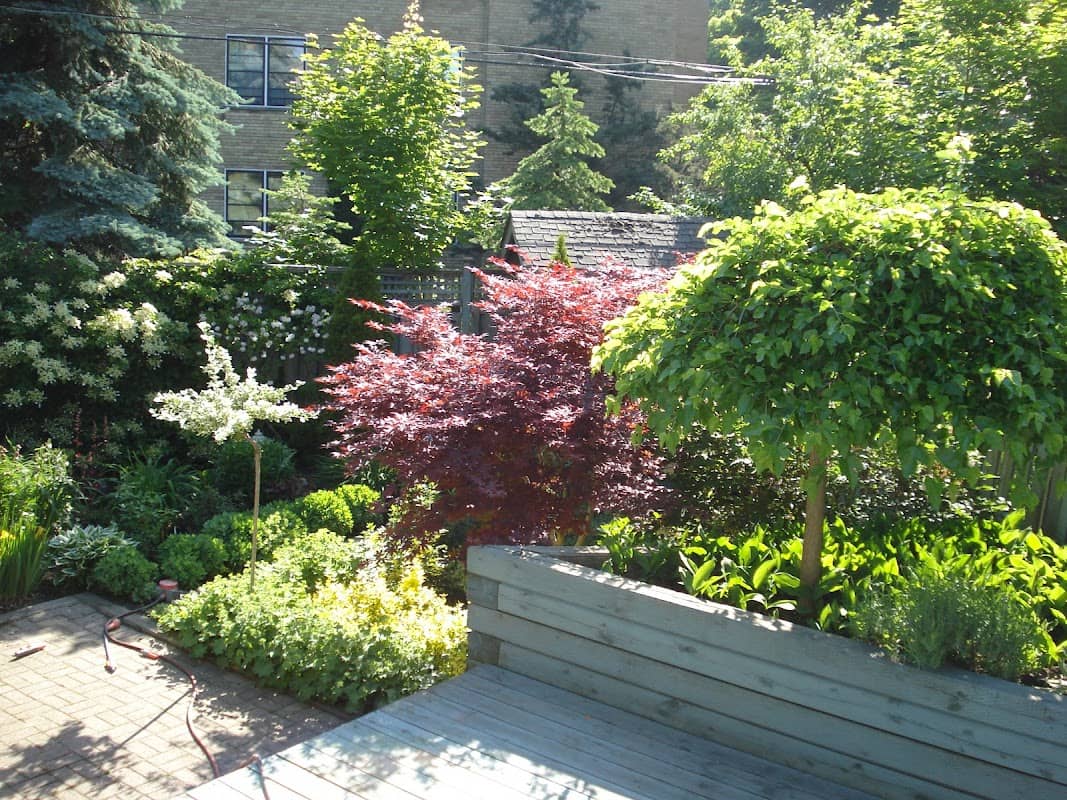 landscaping by Imperial Landscaping in Davisville