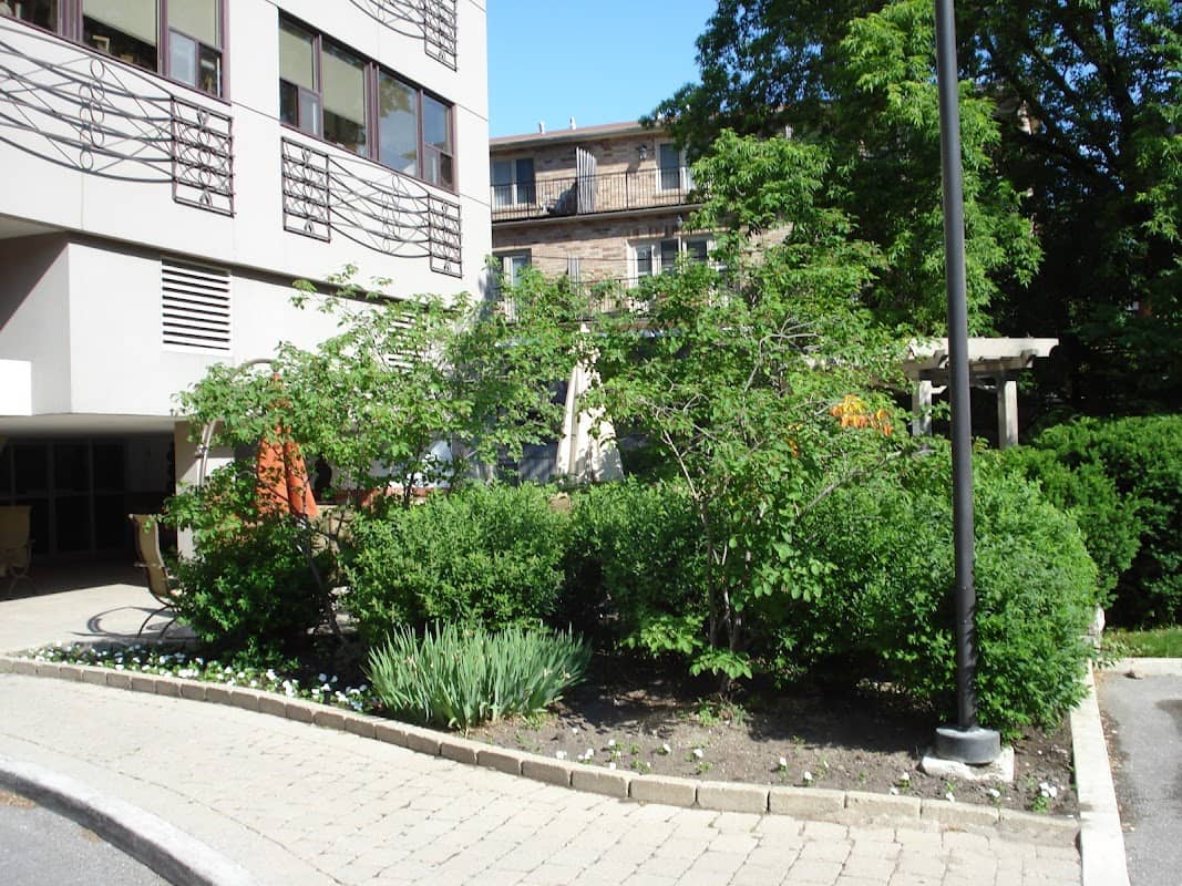Imperial Landscaping, photograph 2 of Davisville
