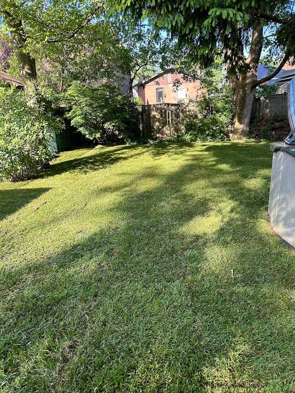 lawn care by In The Beach Lawns Inc. in The Beaches