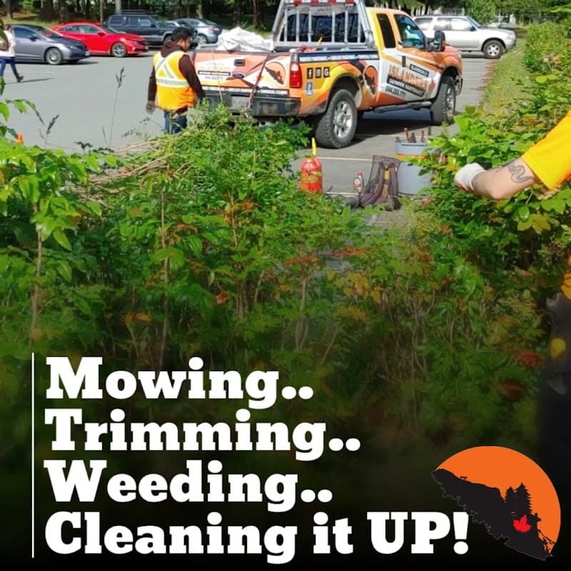 Islanders Outdoor - Lawn Care Nanaimo, photograph 3 of Point Grey