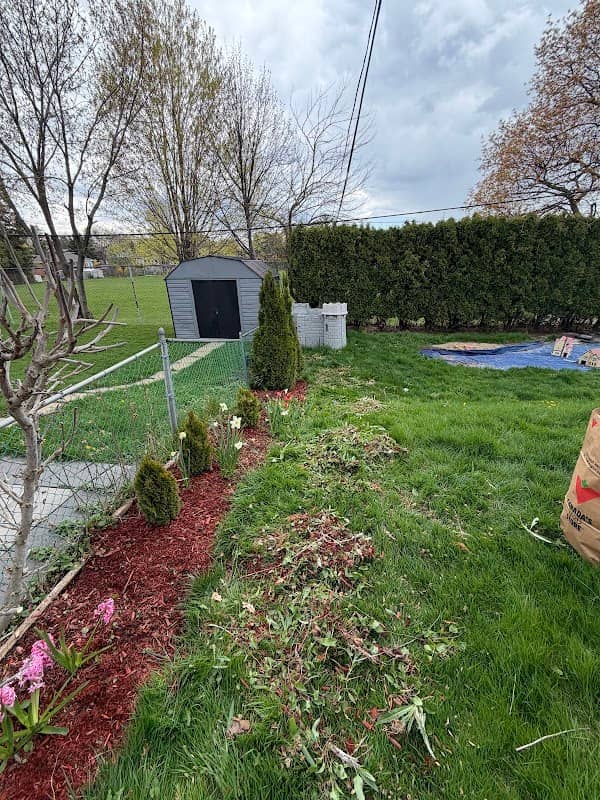 Jade Lawn and Garden, photograph 3 of Scarborough Town Centre