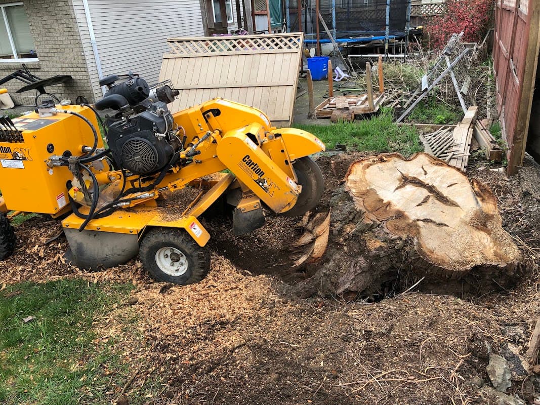 landscaping by Jashan Landscaping & Gardening Ltd. in Surrey