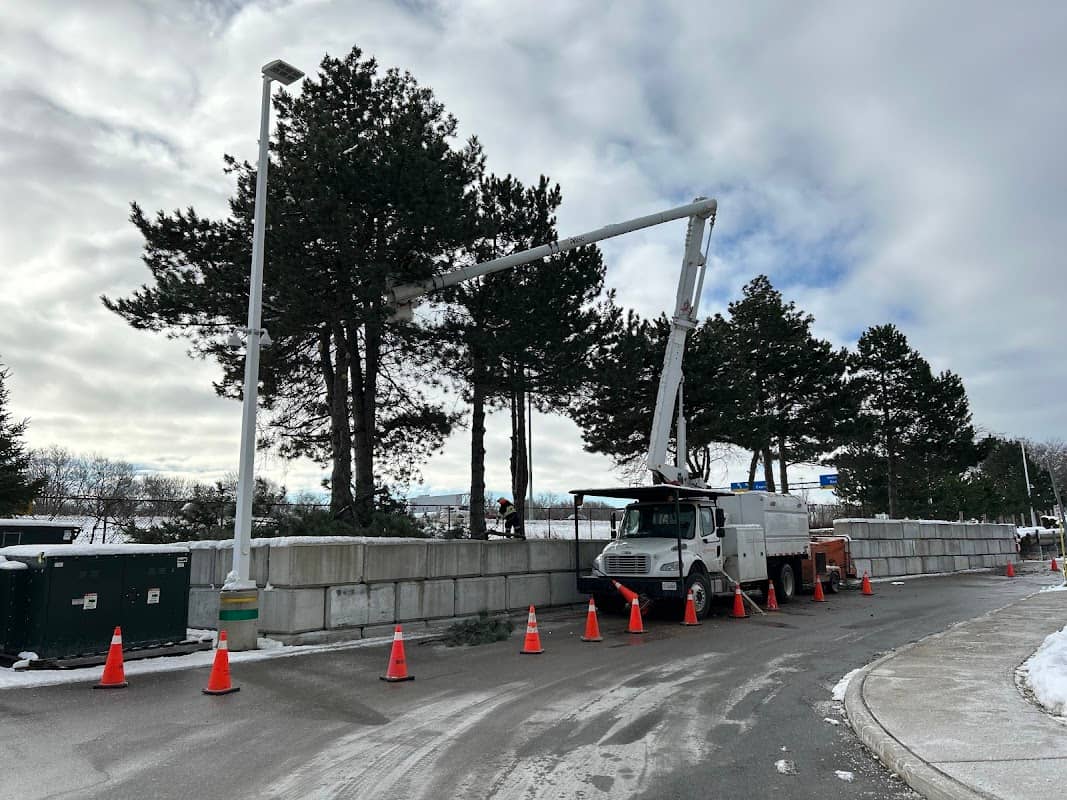 tree services by JD Contracting - Landscaping & Tree Services in Willowdale