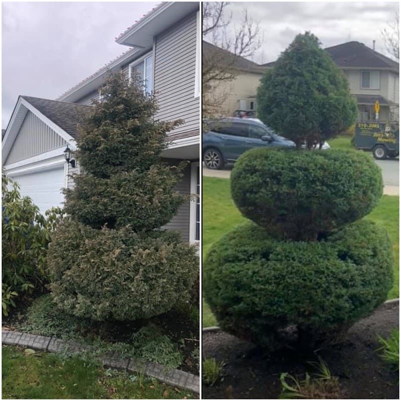 Jim's Mowing Mission, photograph 2 of Cloverdale