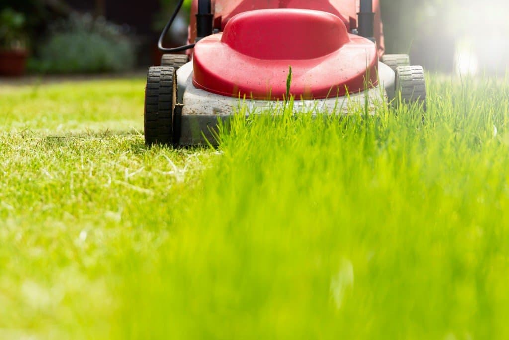 lawn care by JR Lawn Mowing in Surrey