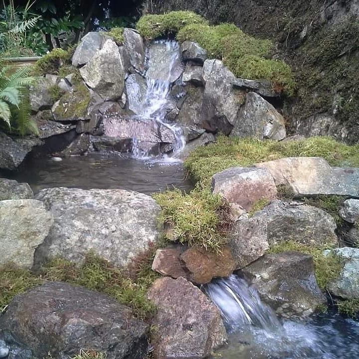Kane Custom Landscaping, photograph 5 of Dundarave