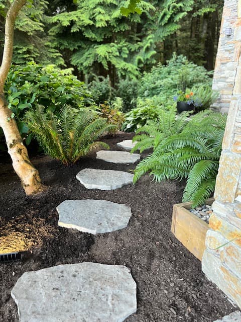Katsura Landscaping, photograph 2 of Lonsdale