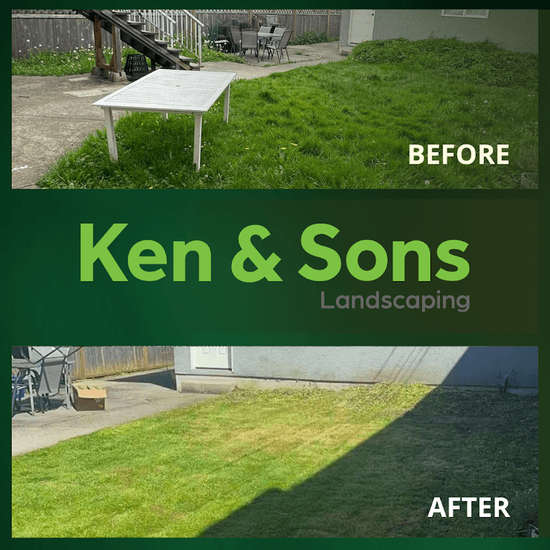 lawn care by Ken & Sons Landscaping in Marpole