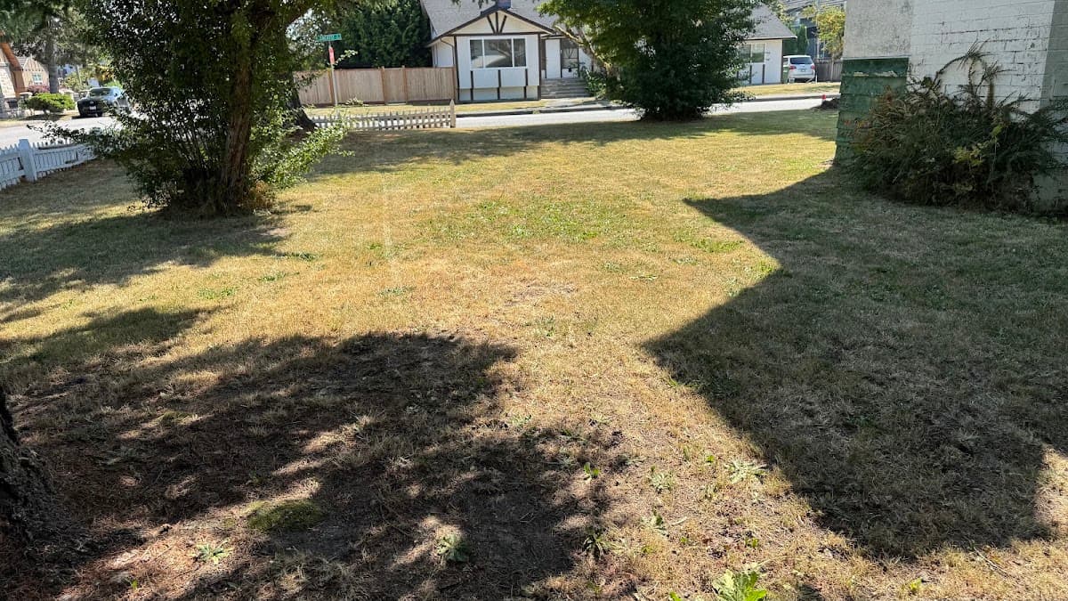 Ken & Sons Landscaping, photograph 2 of Marpole