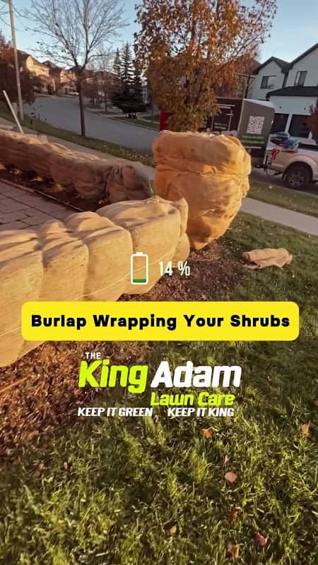 King Adam landscaping, photograph 2 of Willowdale