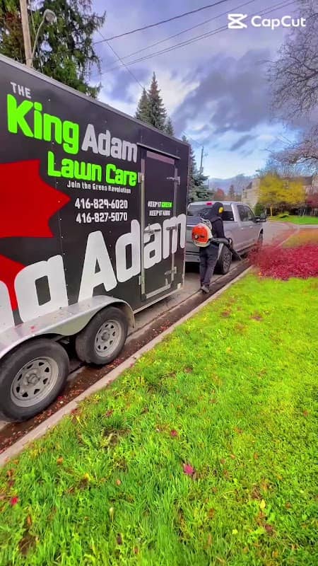 King Adam landscaping, photograph 3 of Willowdale
