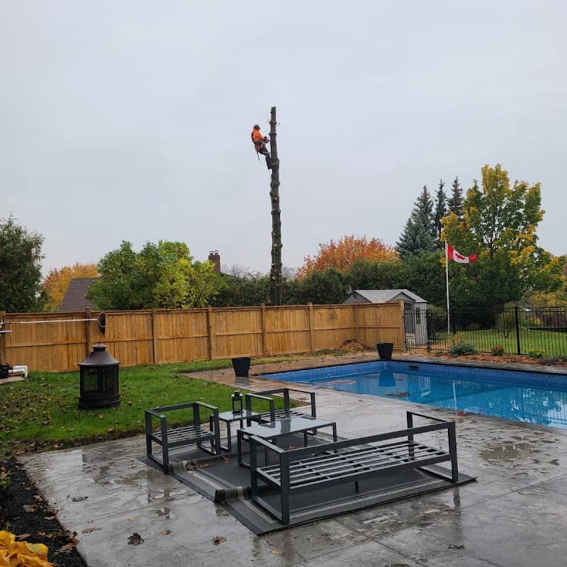 Kodiak Tree Services, photograph 2 of Burlington