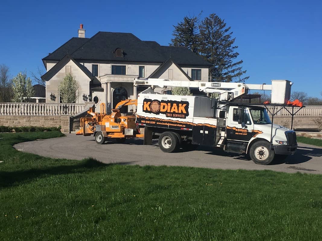Kodiak Tree Services, photograph 3 of Burlington