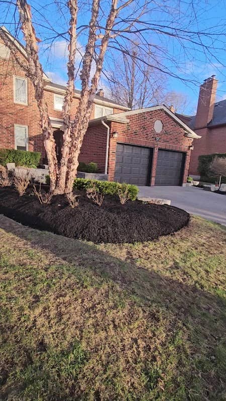 lawn care by LA Lawn Care - In Markham in Markham