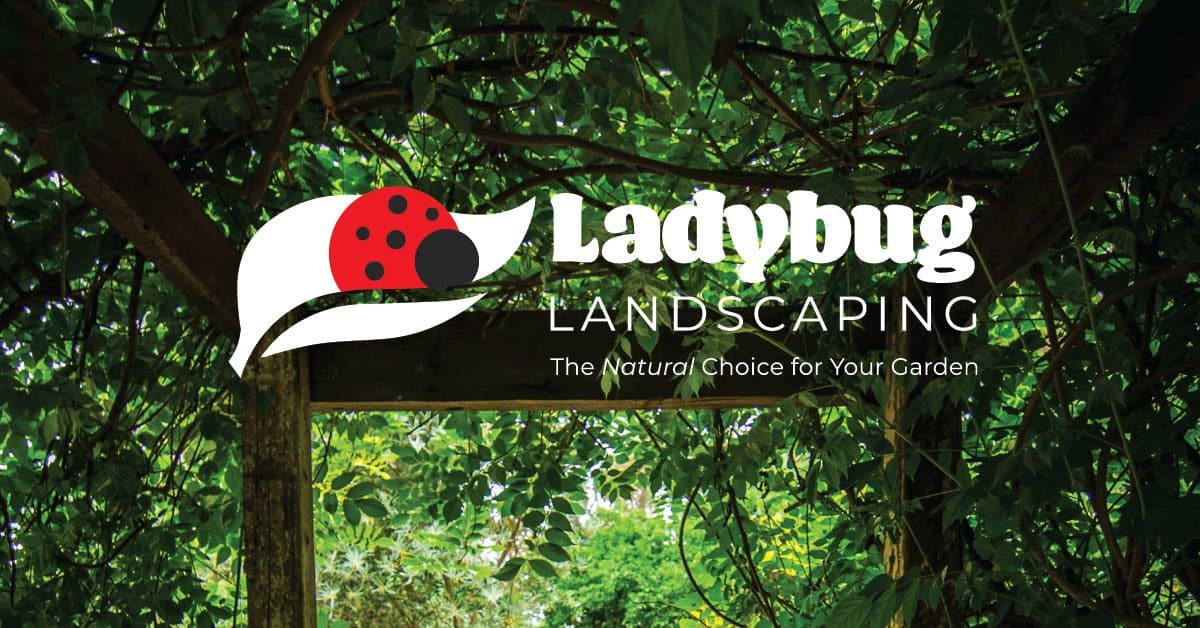 Ladybug Landscaping | Perfect Plants | Snow Angelz, photograph 3 of Cloverdale