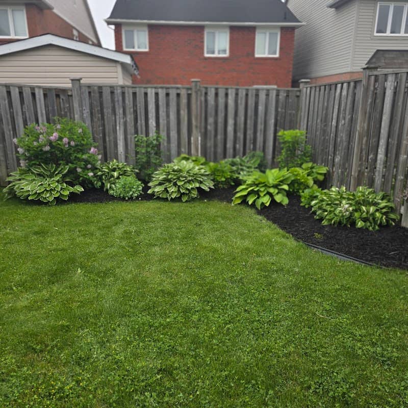landscape design by Ladyloveslawncare in Islington-City Centre West