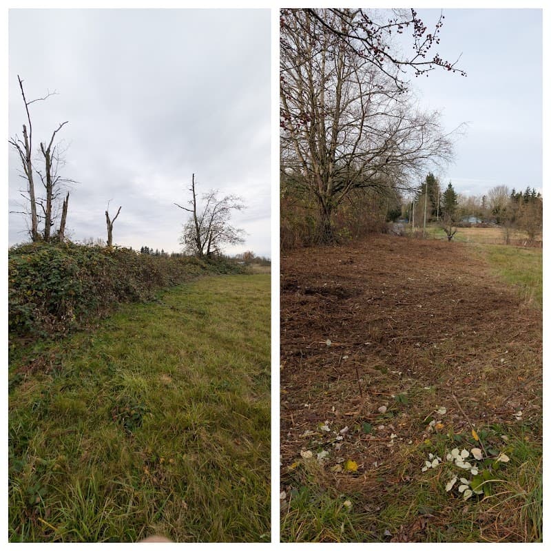 property maintenance by Lake Landscaping in Cloverdale