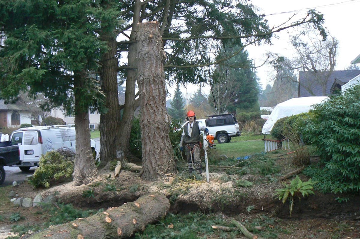 Landscape Plus, photograph 2 of Tsawwassen