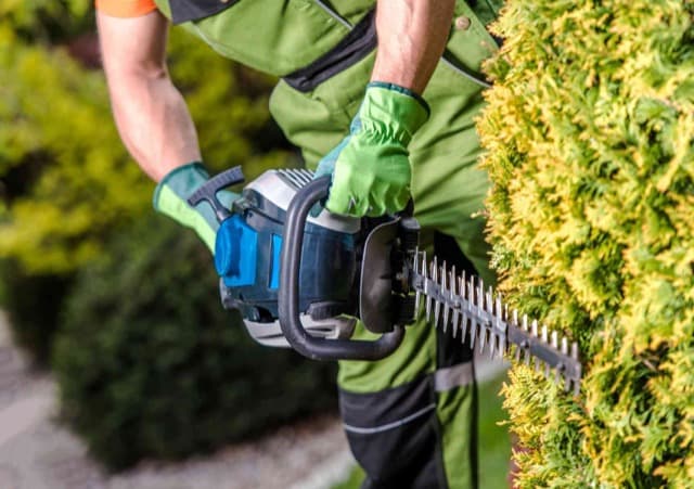 landscaping by Landscaping Surrey Blossm in Surrey