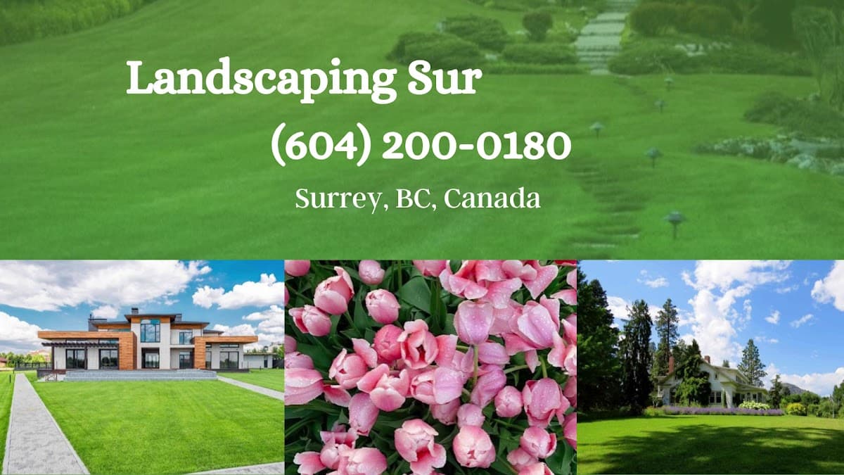 Landscaping Surrey blossom BC, photograph 3 of Surrey