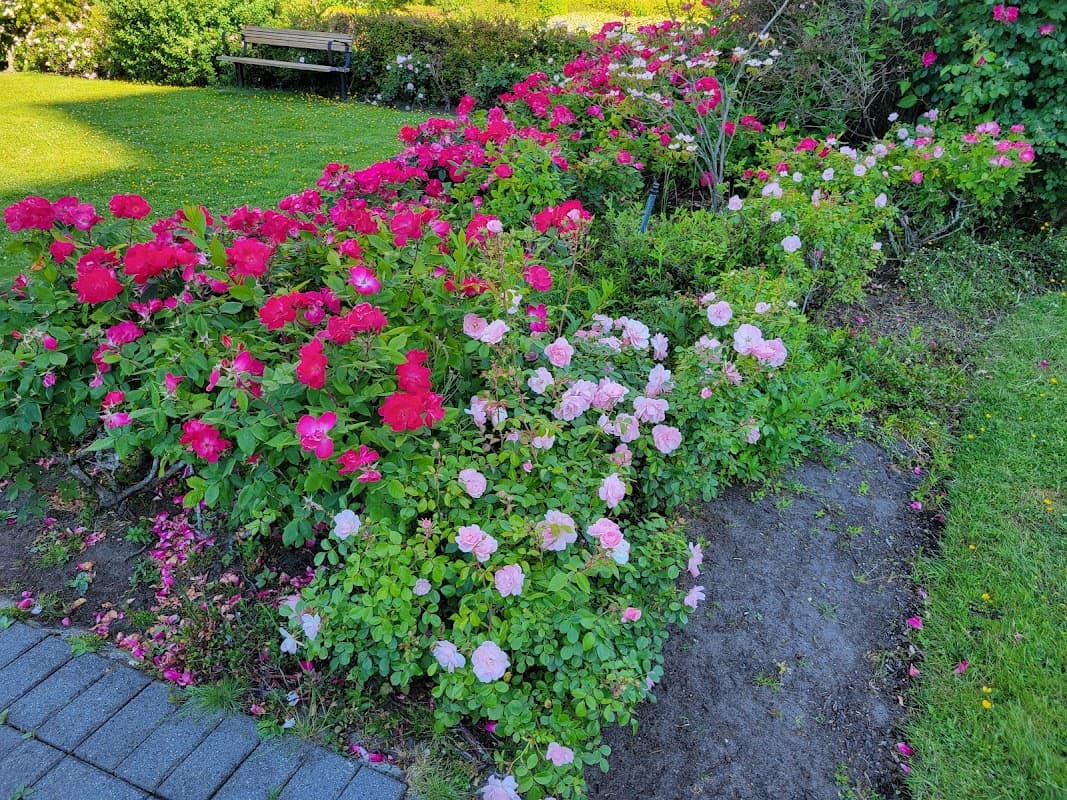 landscaping by Landscaping Vancouver in Hastings-Sunrise