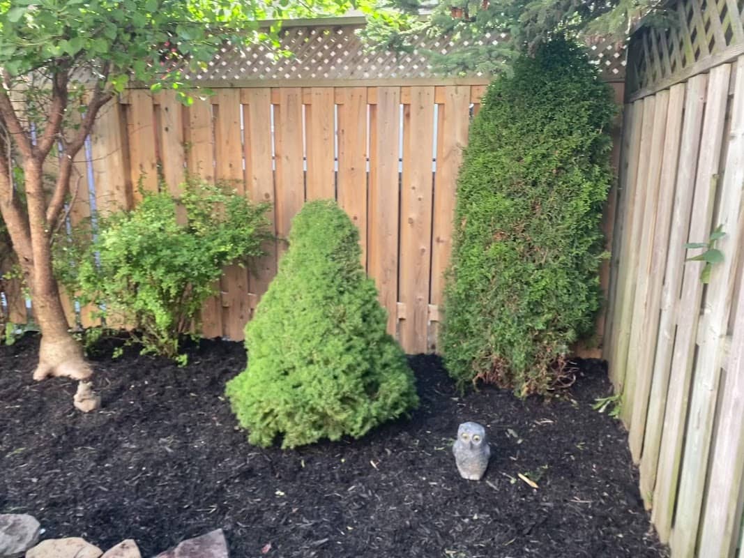 Lawn Bears Landscaping, photograph 2 of Markham