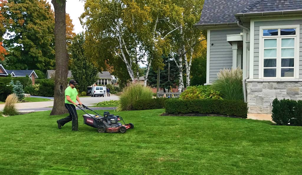 Lawn Bros Landscaping, photograph 4 of Oakville