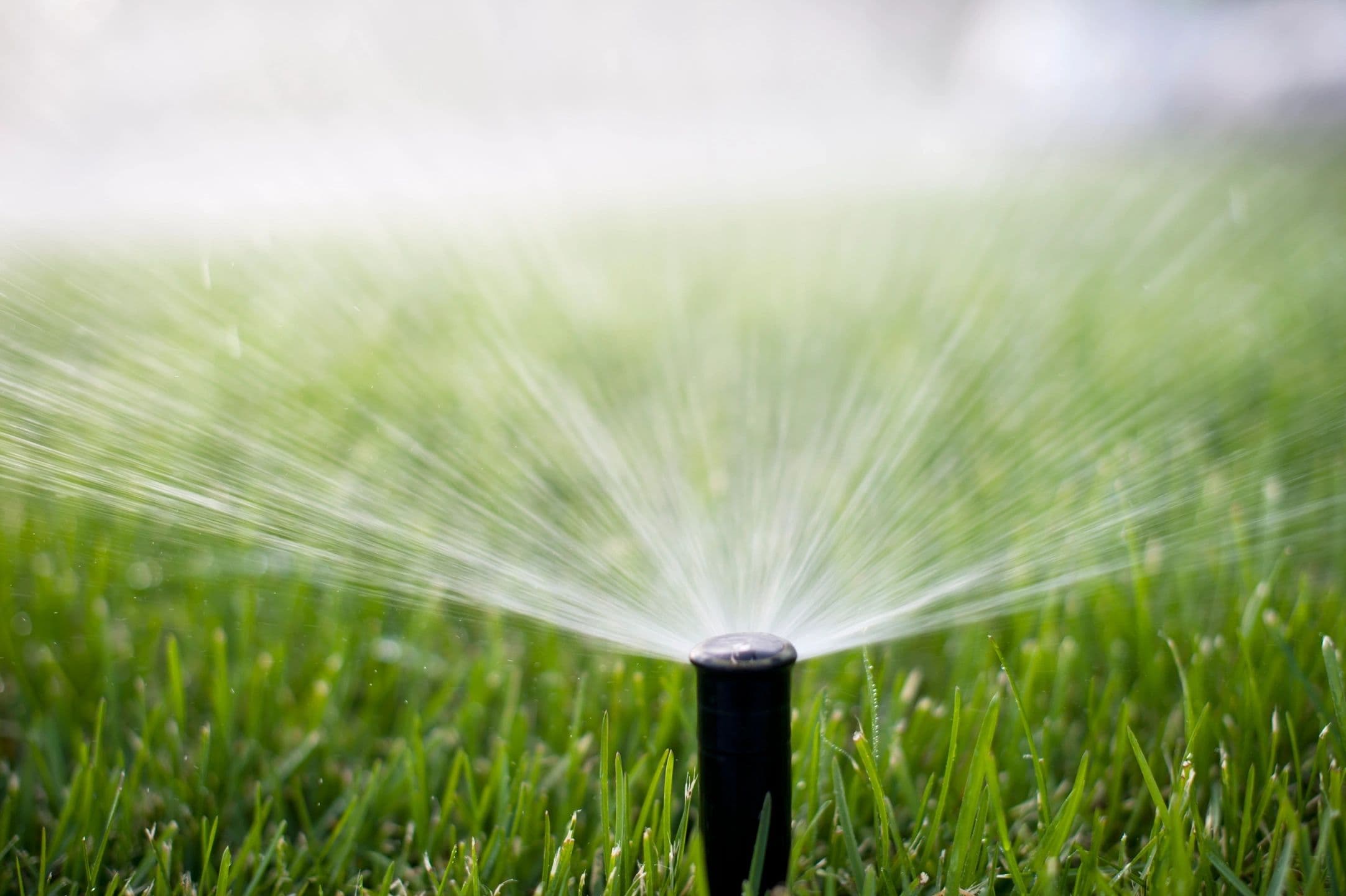 Lawn Care Pal, photograph 4 of Lynn Valley