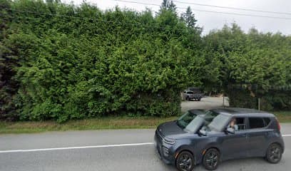 lawn care by Lawn Guru in Maple Ridge