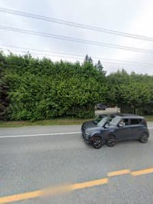 Lawn Guru, photograph 2 of Maple Ridge