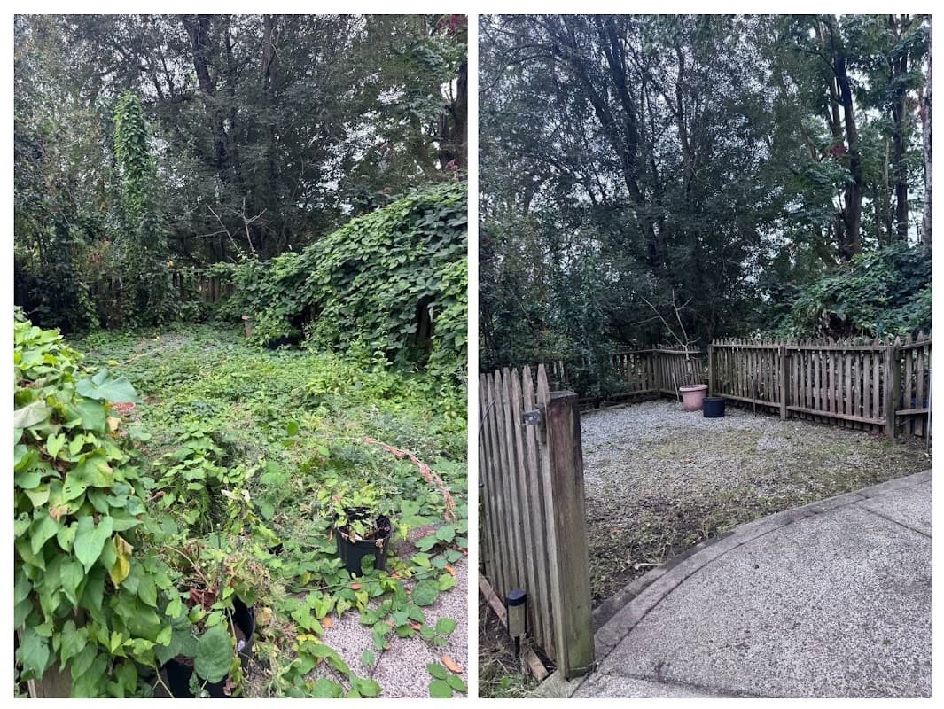 landscaping by Lawn Queenz in Abbotsford