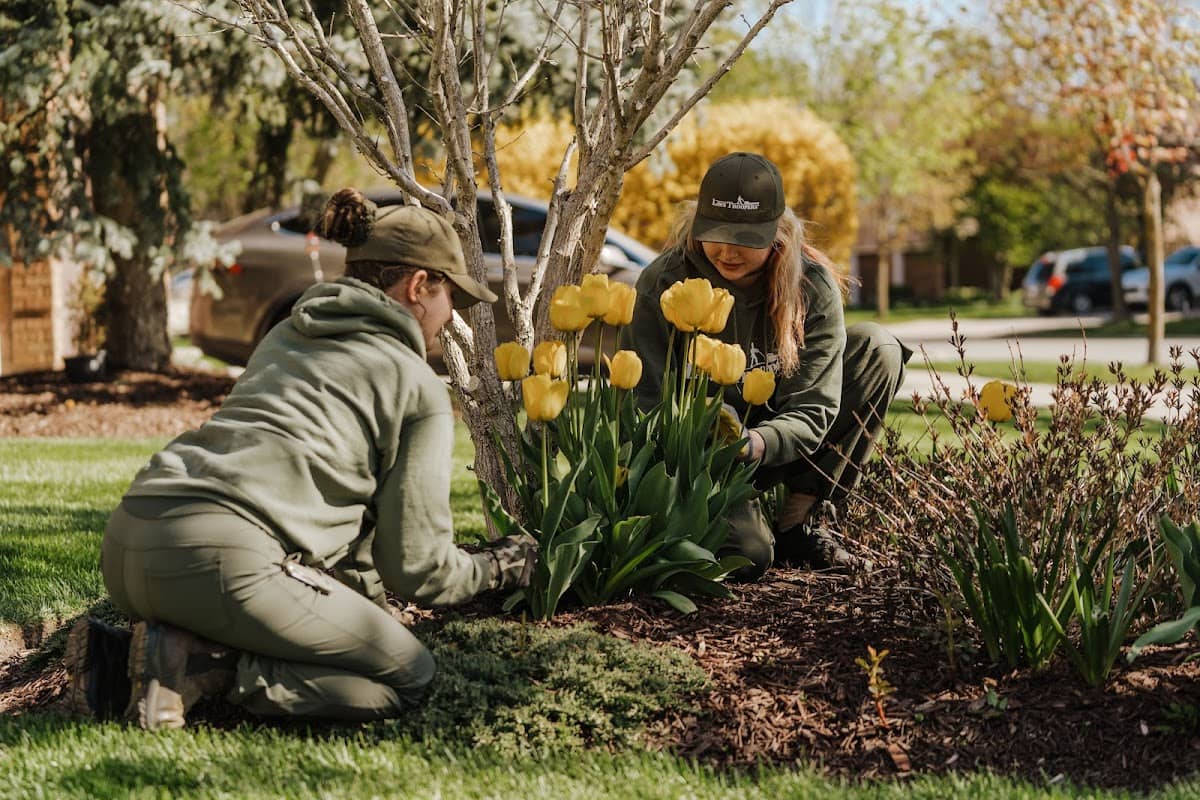 lawn care by Lawn Troopers in Islington-City Centre West