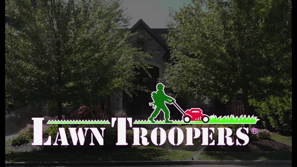 Lawn Troopers, photograph 3 of Islington-City Centre West