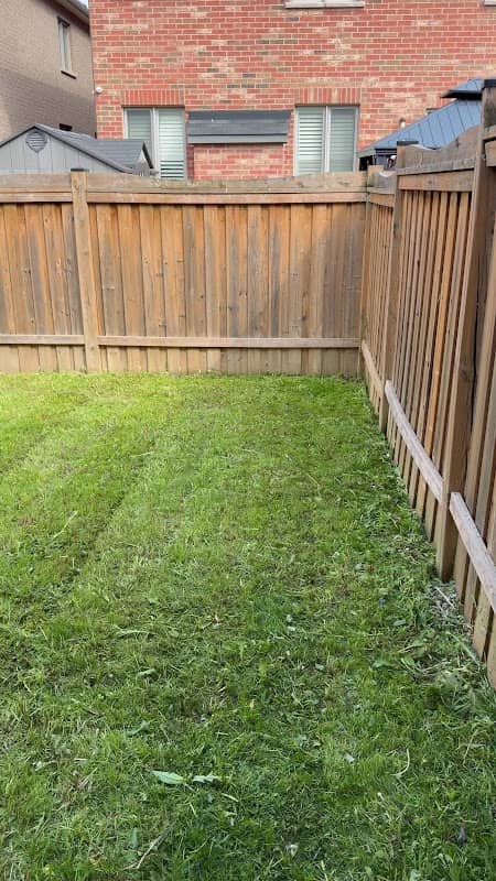 LawnCare Guys, photograph 3 of Brampton