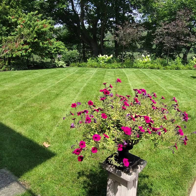 landscape design by Lawncare Solutions in Islington-City Centre West