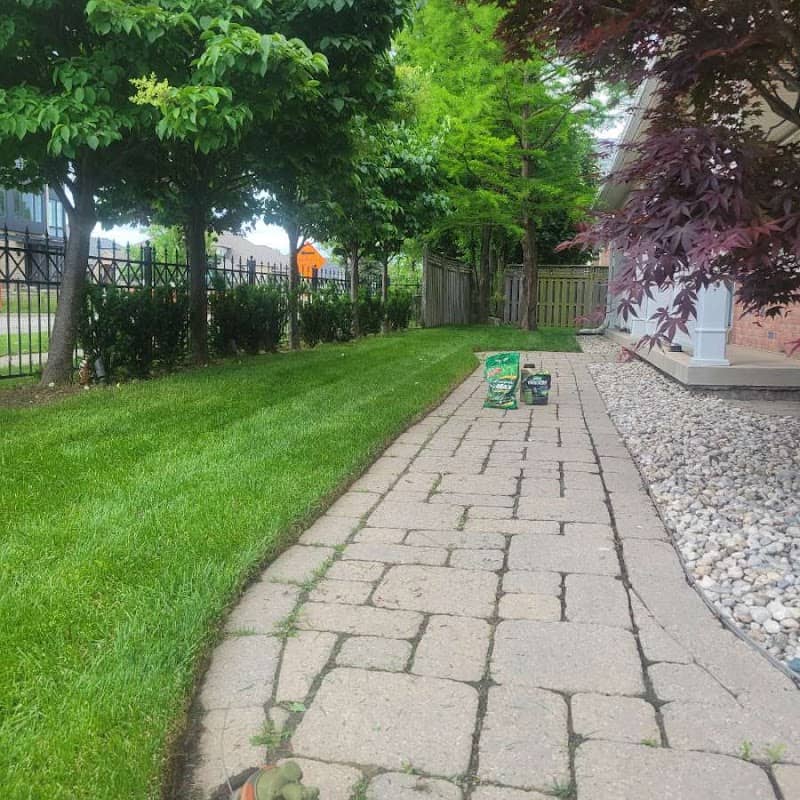 Lawncare Solutions, photograph 2 of Islington-City Centre West