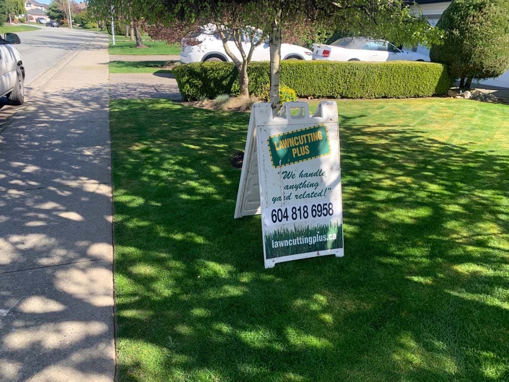 LawnCutting Plus, photograph 2 of Delta