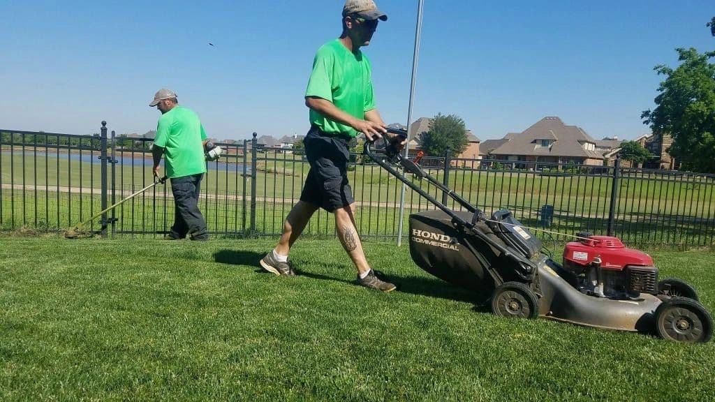 Lawngevity Lawn Care, photograph 6 of Tsawwassen