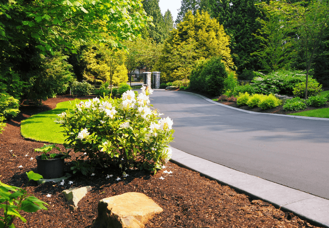 landscaping by LawnPro Landscapes Ltd. in Cloverdale
