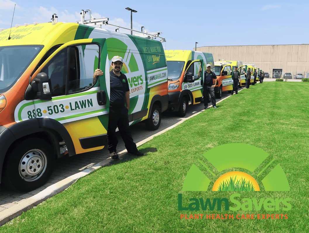 lawn care by LawnSavers Plant Health Care - Lawn Care Services Toronto in Willowdale