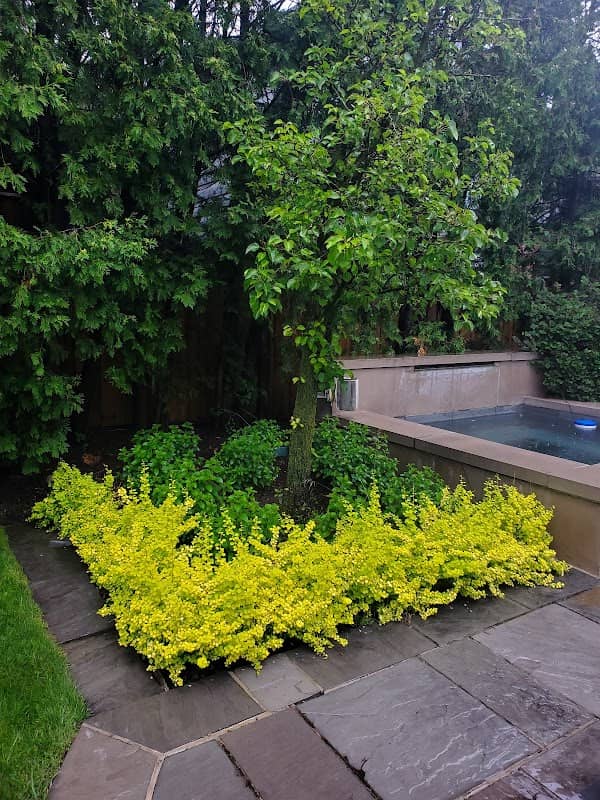 Lawrence Park Complete Garden Care, photograph 2 of Willowdale
