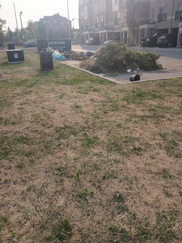 landscaping by Ledesma Landscaping in Scarborough Town Centre