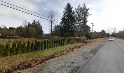 excavating & site prep by Lee's Backhoe & Excavating Service in Maple Ridge
