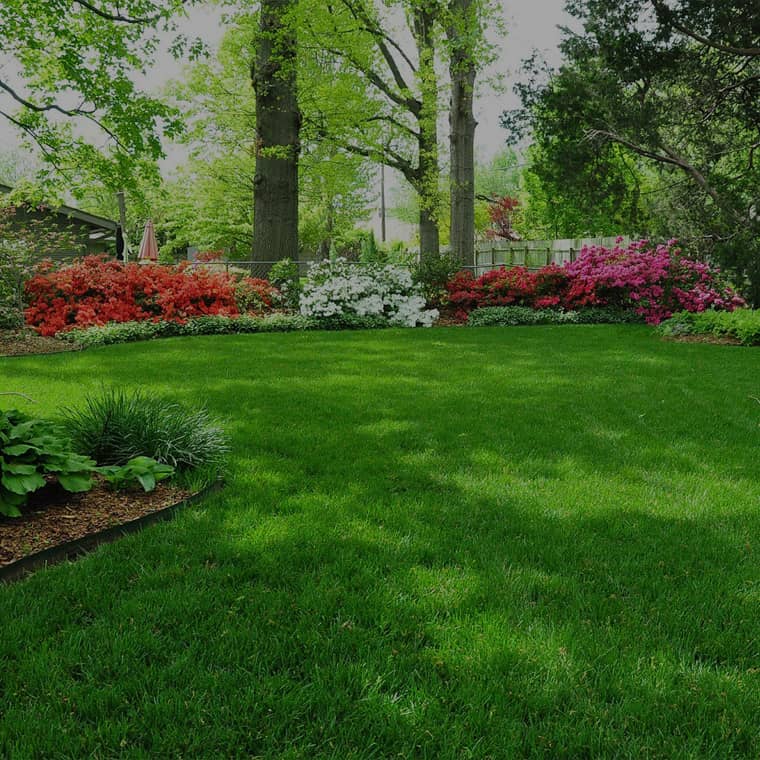Leuschner's Lawn and Landscape, photograph 2 of Agincourt