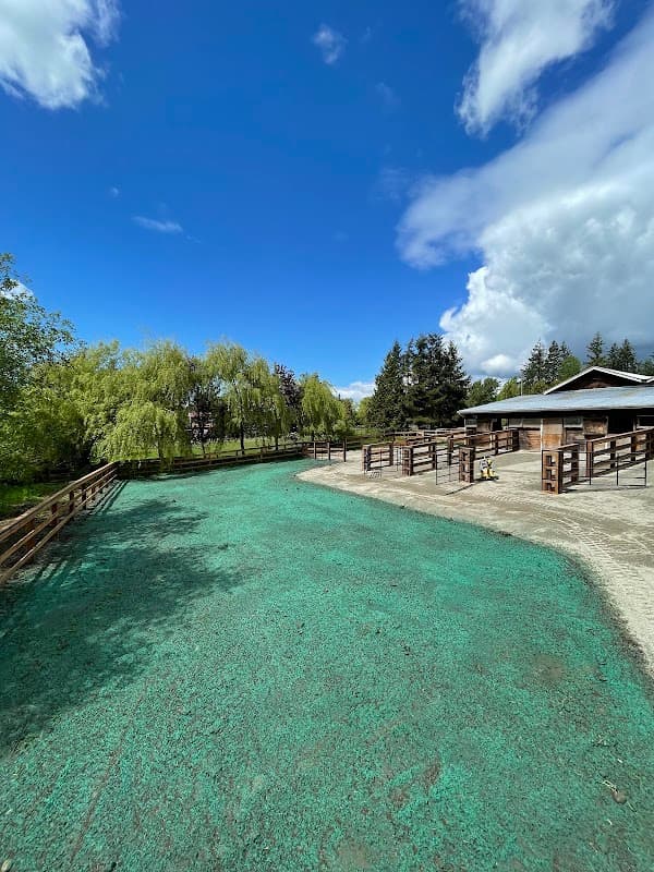 Liquid Green Hydroseeding & Environmental Services, photograph 2 of Dundarave