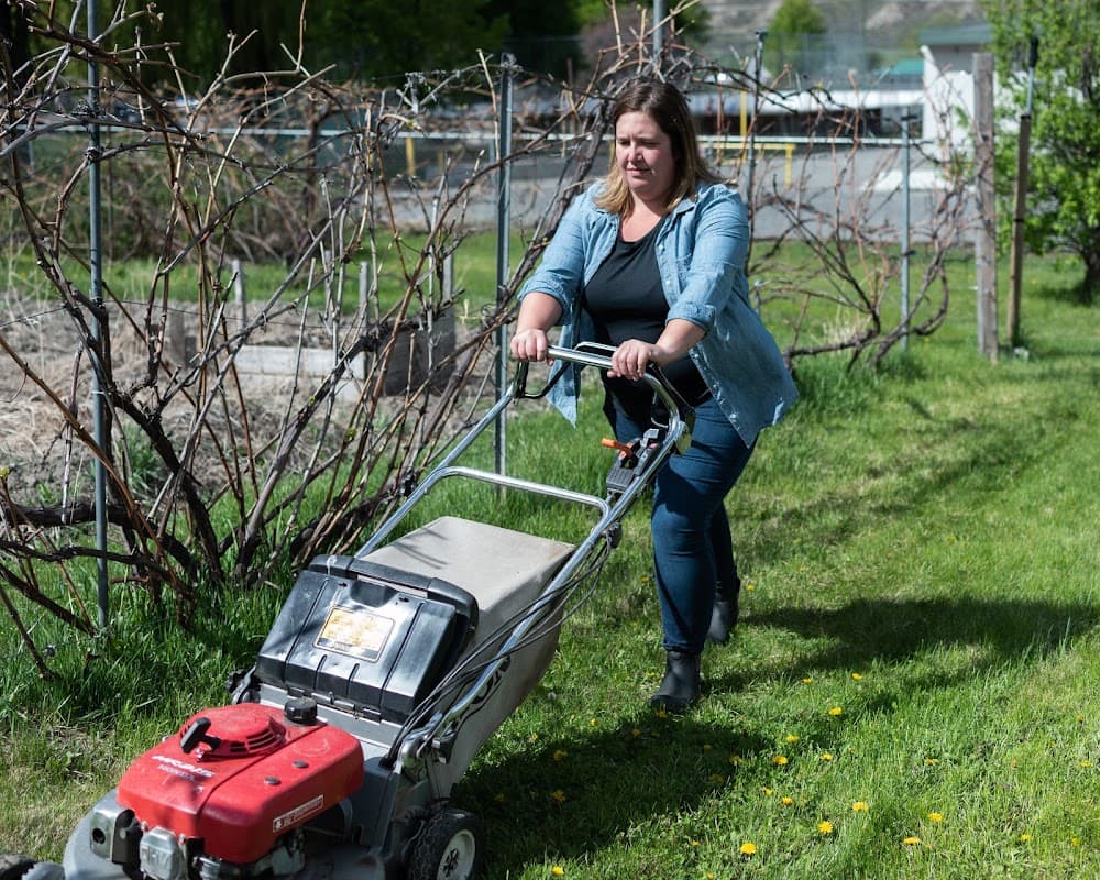 lawn care by Little Bee Lawn Care in Deep Cove