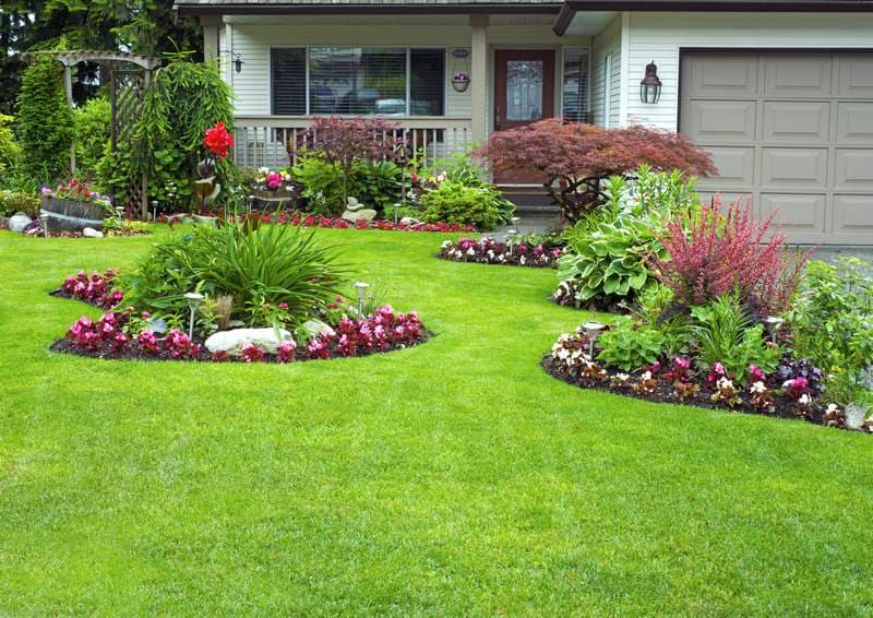 Little Bee Lawn Care, photograph 2 of Deep Cove