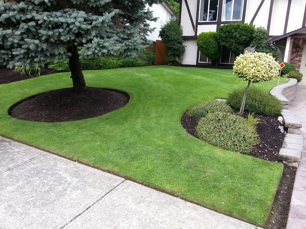 lawn care by Little Green Eco Lawns (Grub Stopr) in Langley