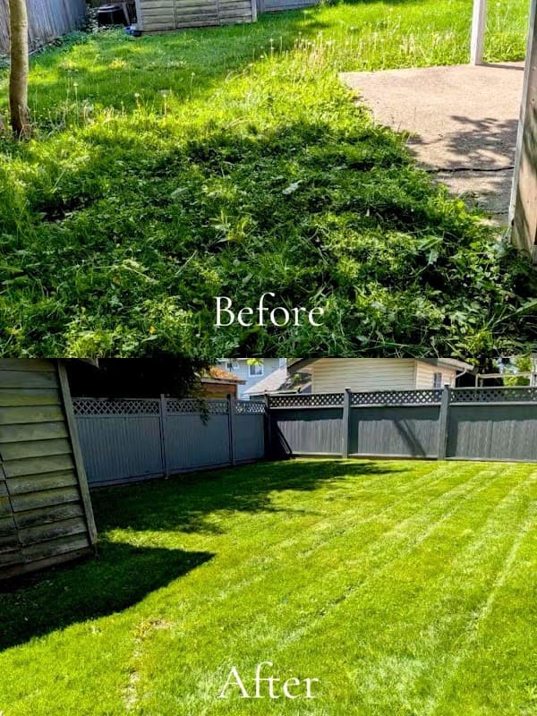 lawn care by LM Lawn & Landscape in Cloverdale